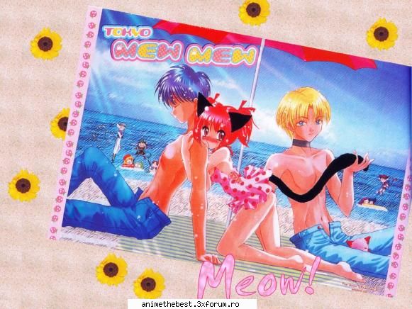 Poze MEW MEW POWER - eclair vs foxy fox - Mew mew power