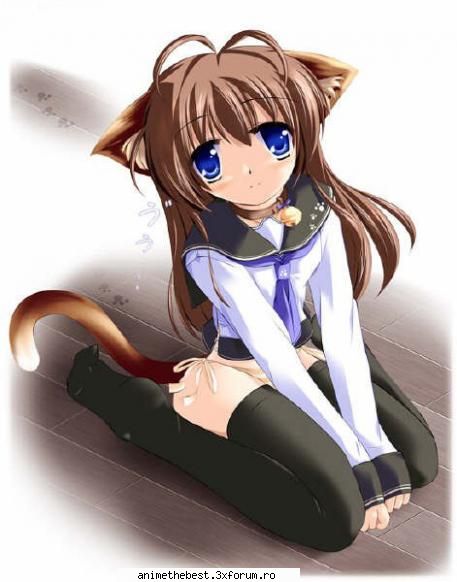 poze anime - eclair vs foxy fox - anime